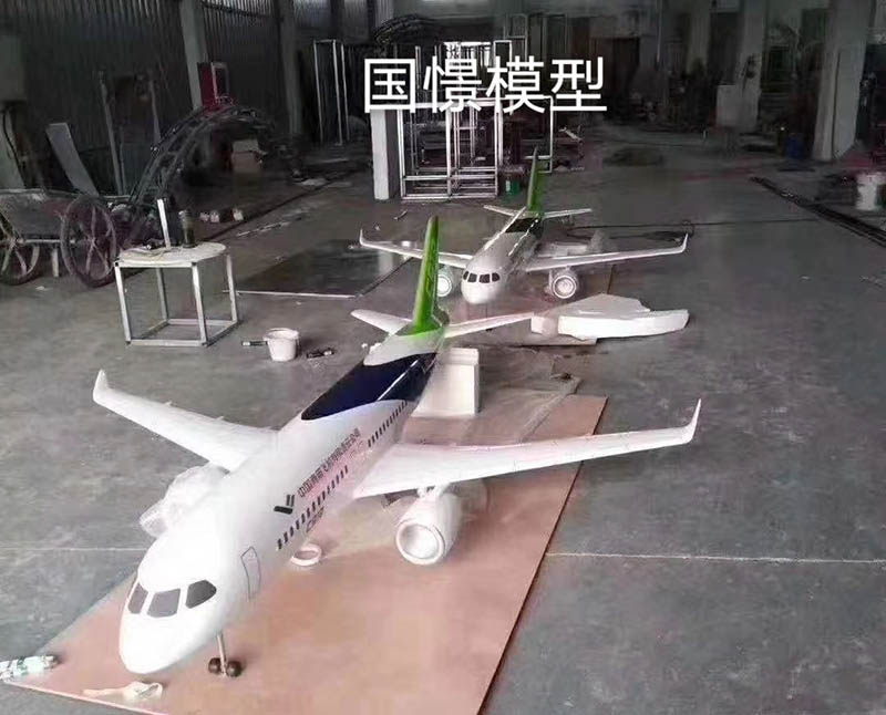 塔河县飞机模型